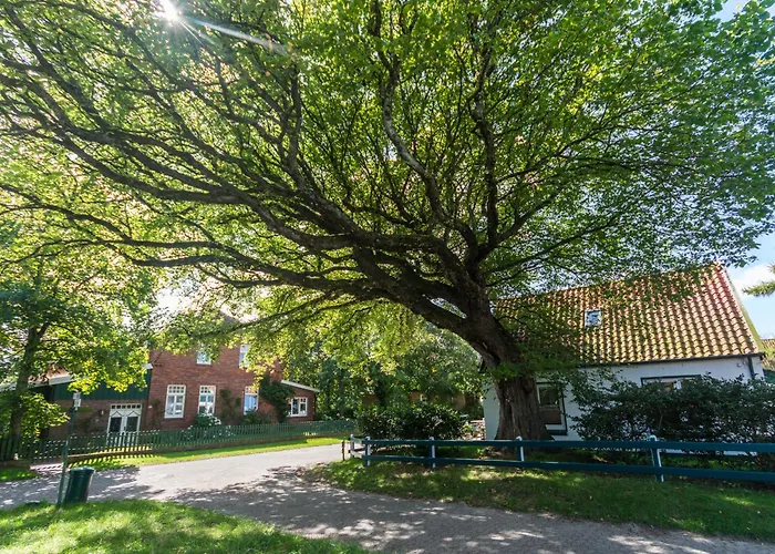 Appartementhaus Westerloog 09-balkon 斯匹科罗格